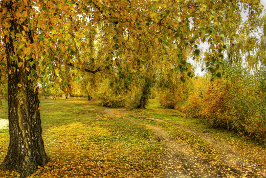 775484 (a): :2500x1675
